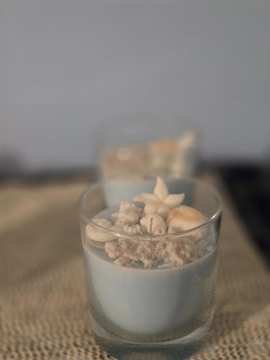 Beach Please 16 OZ Soy Candle